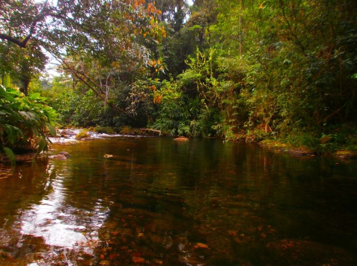 Projeto para tornar Rio Macaé área estadual de interesse turístico é aprovado em 1ª discussão na Alerj