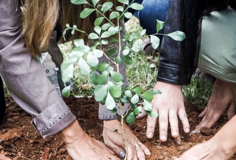 Conferência de Meio Ambiente de Silva Jardim acontece no dia 22