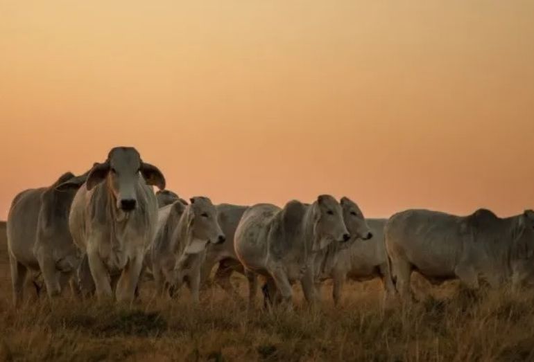 Investimentos em agronegócio colocam Macaé em evidência à nível estadual