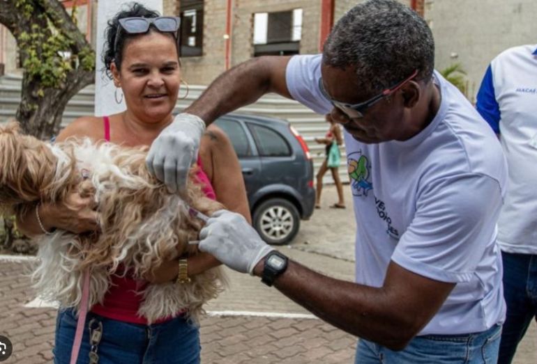 Macaé mantém campanha de vacinação contra raiva até o dia 21