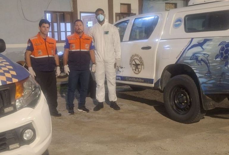 Ação rápida da Defesa Civil ajuda no resgate de pinguim em Rio das Ostras