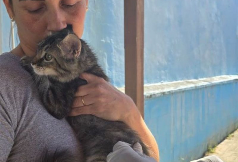 Campanha de vacinação antirrábica passa dos 13,5 mil pets imunizados em Rio das Ostras