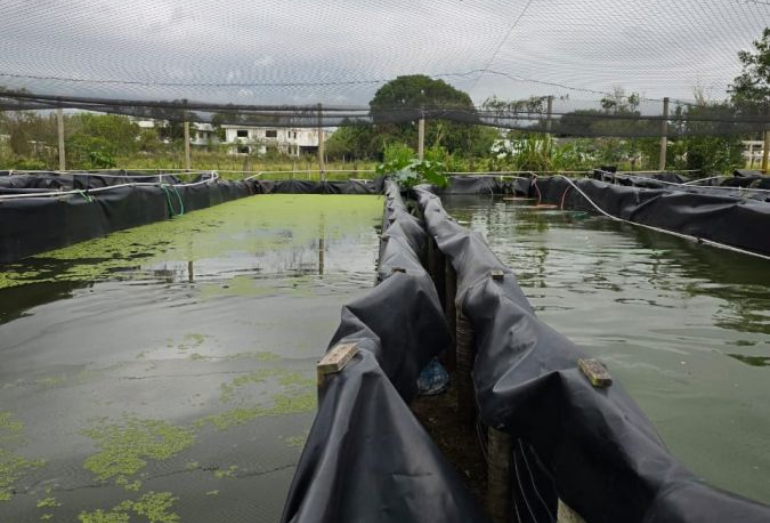 Rio das Ostras estuda viabilização de projetos sociais voltados a áreas pesqueiras