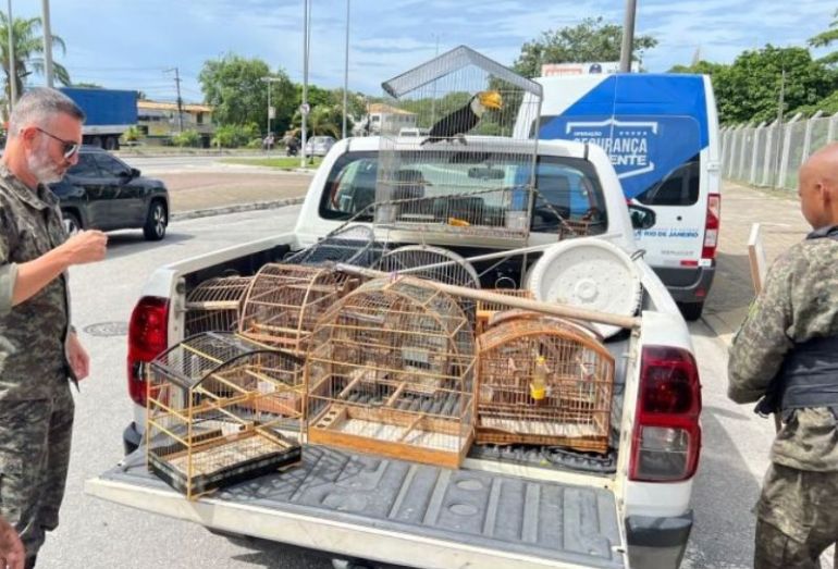 Rio das Ostras realiza ação de resgate de 12 aves silvestres mantidas em cativeiro