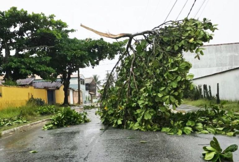 Rio das Ostras volta a sofrer com chuvas e quedas de árvores nessa semana