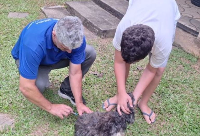 Ação de vacinação antirrábica acontece nesse sábado, 11, em Rio das Ostras