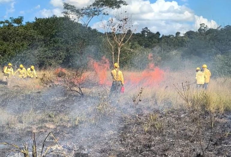 Processo seletivo do IMCBio reforça combate a incêndios em UCs da região