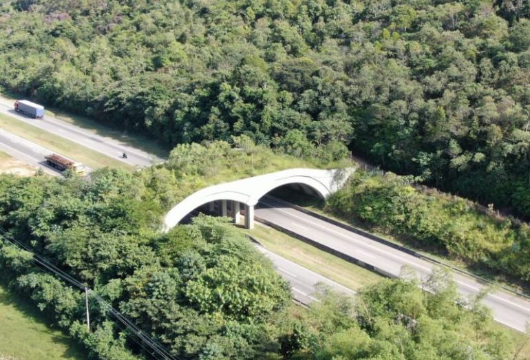 ICMBio comemora aprovação de projeto na Câmara Federal que obriga viadutos vegetados em todo país