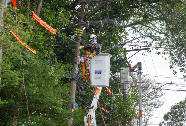 Macaé aparece entre os municípios com maior previsão de podas na rede elétrica em 2026