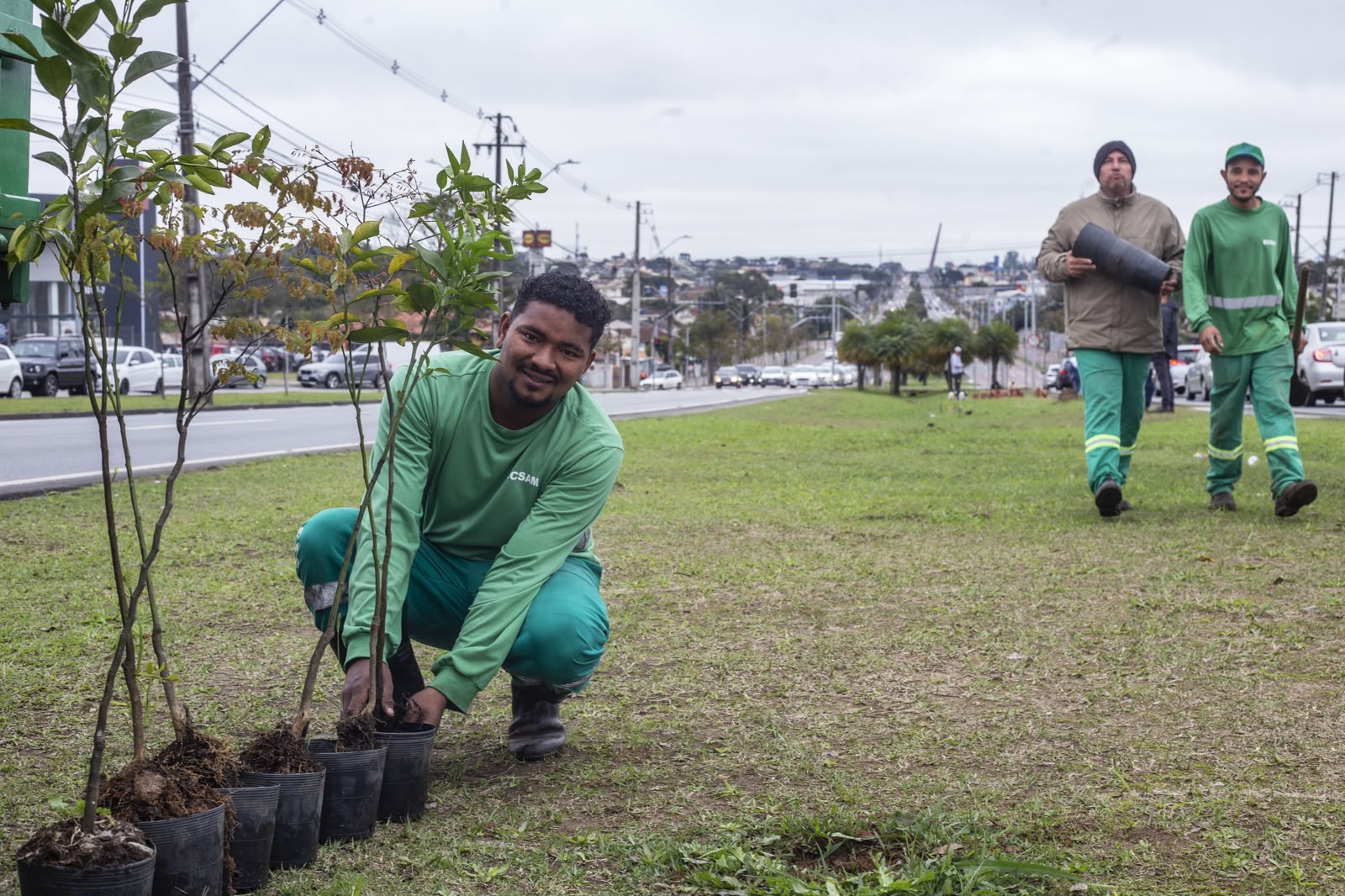 Macaé planta média de 13 árvores por dia e amplia áreas verdes na cidade